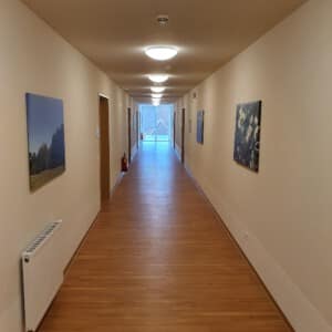 Streicharbeiten Neubau Streicharbeiten Neubau